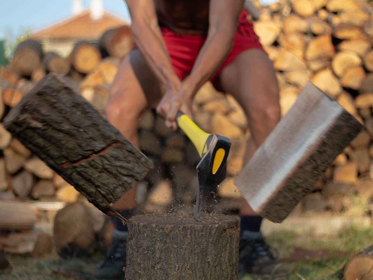 Best Palm Tree Trimming  in Clayton, NC